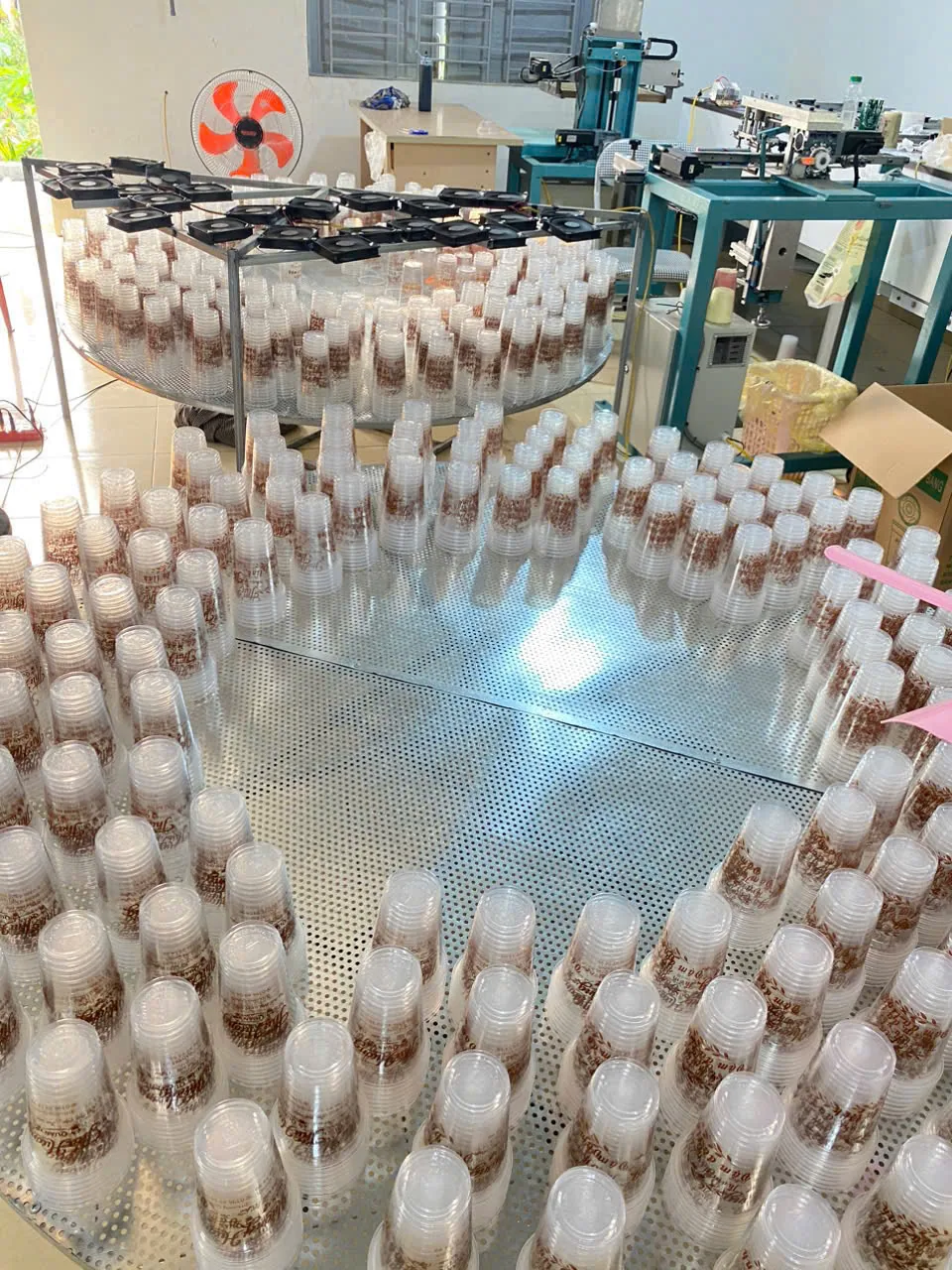 Mẫu cốc nhựa in logo thực tế tại xưởng In Hương Lan