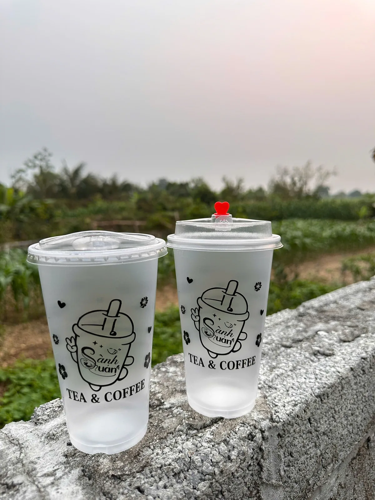 Mẫu cốc nhựa in logo thực tế tại xưởng In Hương Lan